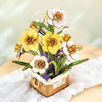 3D Puzzle - Narcissus